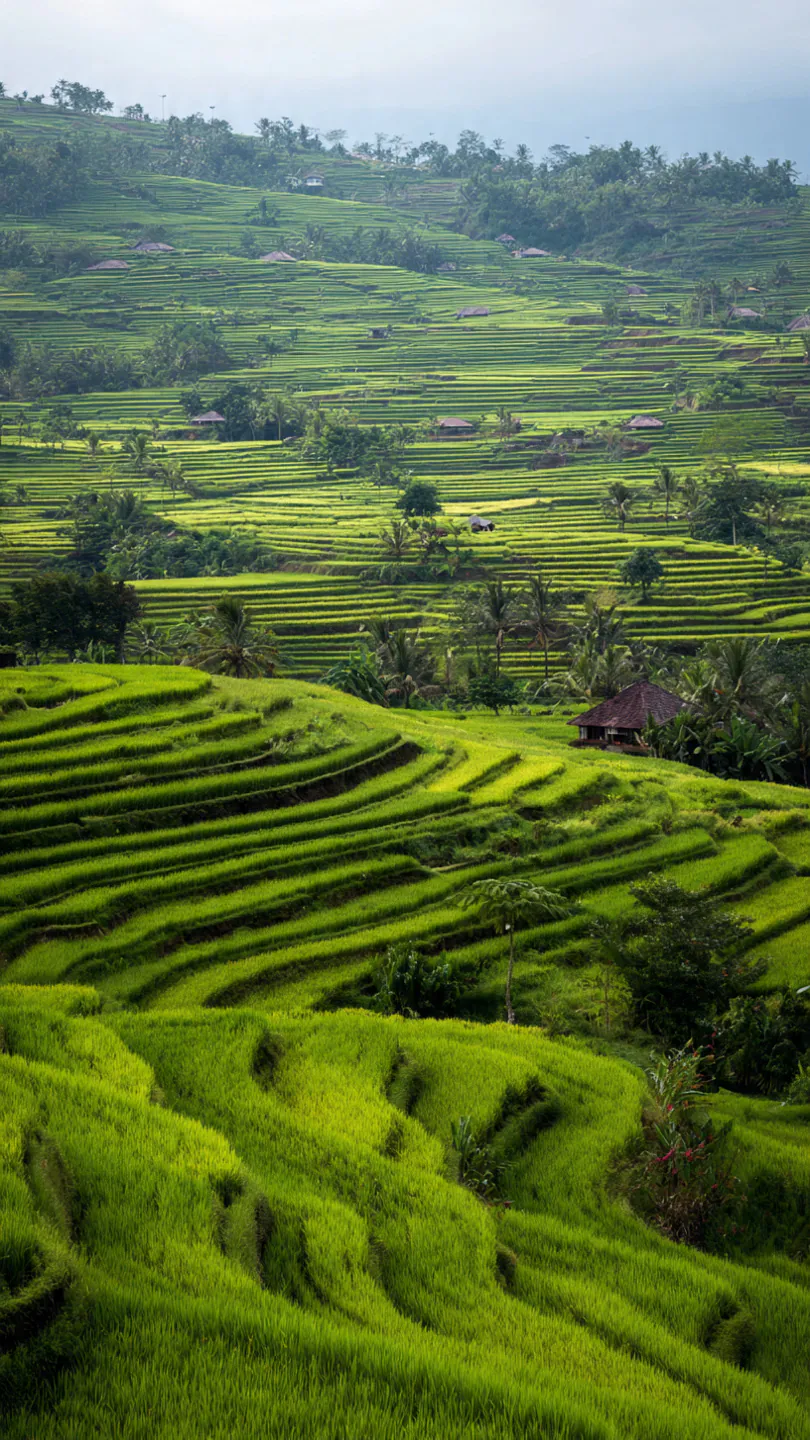 Bali - Kuzey Turu - Görsel 7