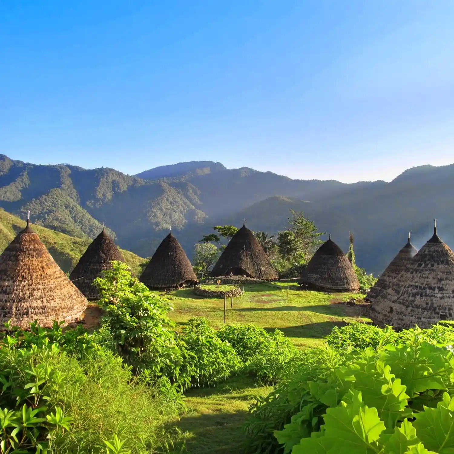 Flores – Wae Rebo Köyü Trek & Konaklama Turu - Görsel 1