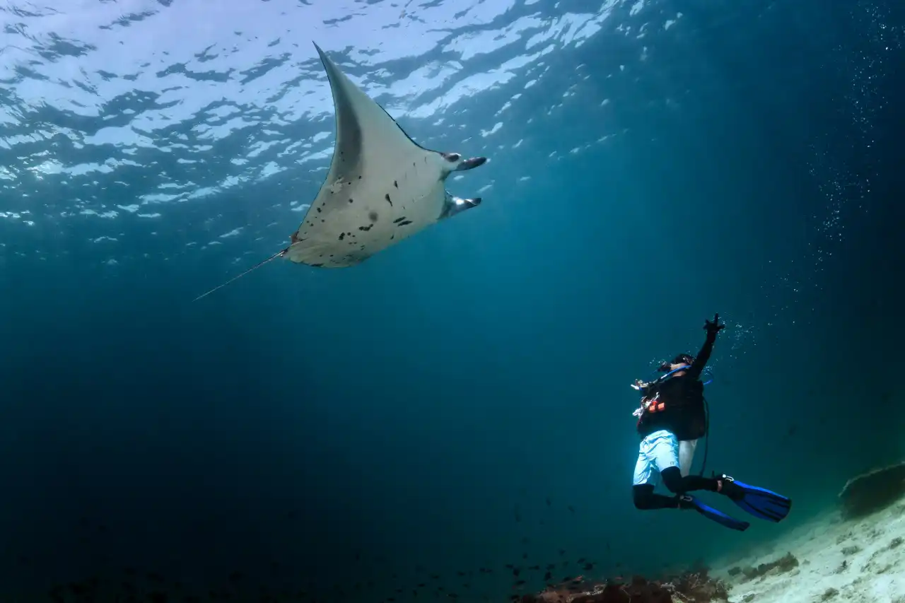 Derawan Adaları & Deniz Cenneti Turu - Görsel 8