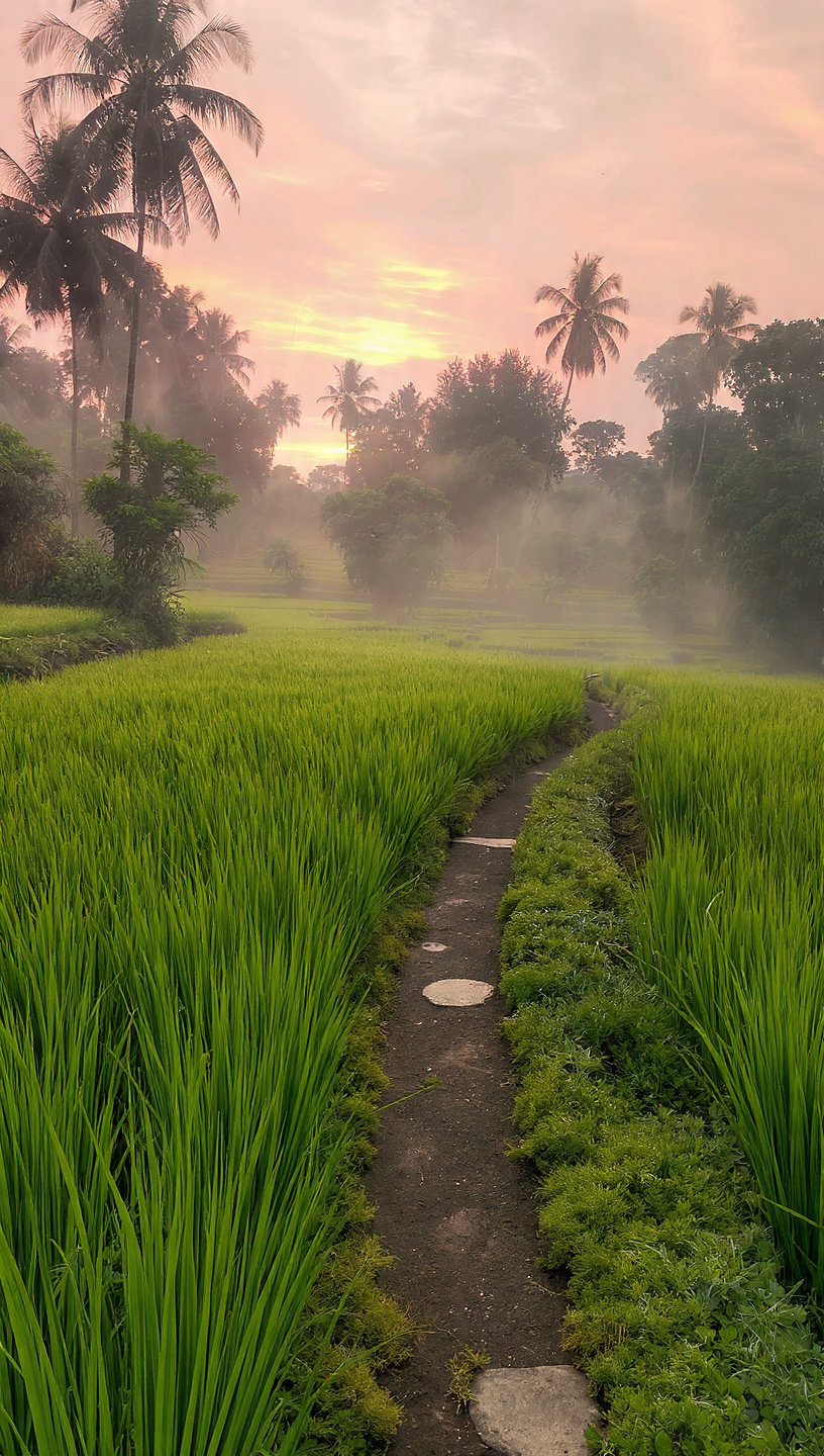 Endonezya'nın En İyileri - Görsel 22