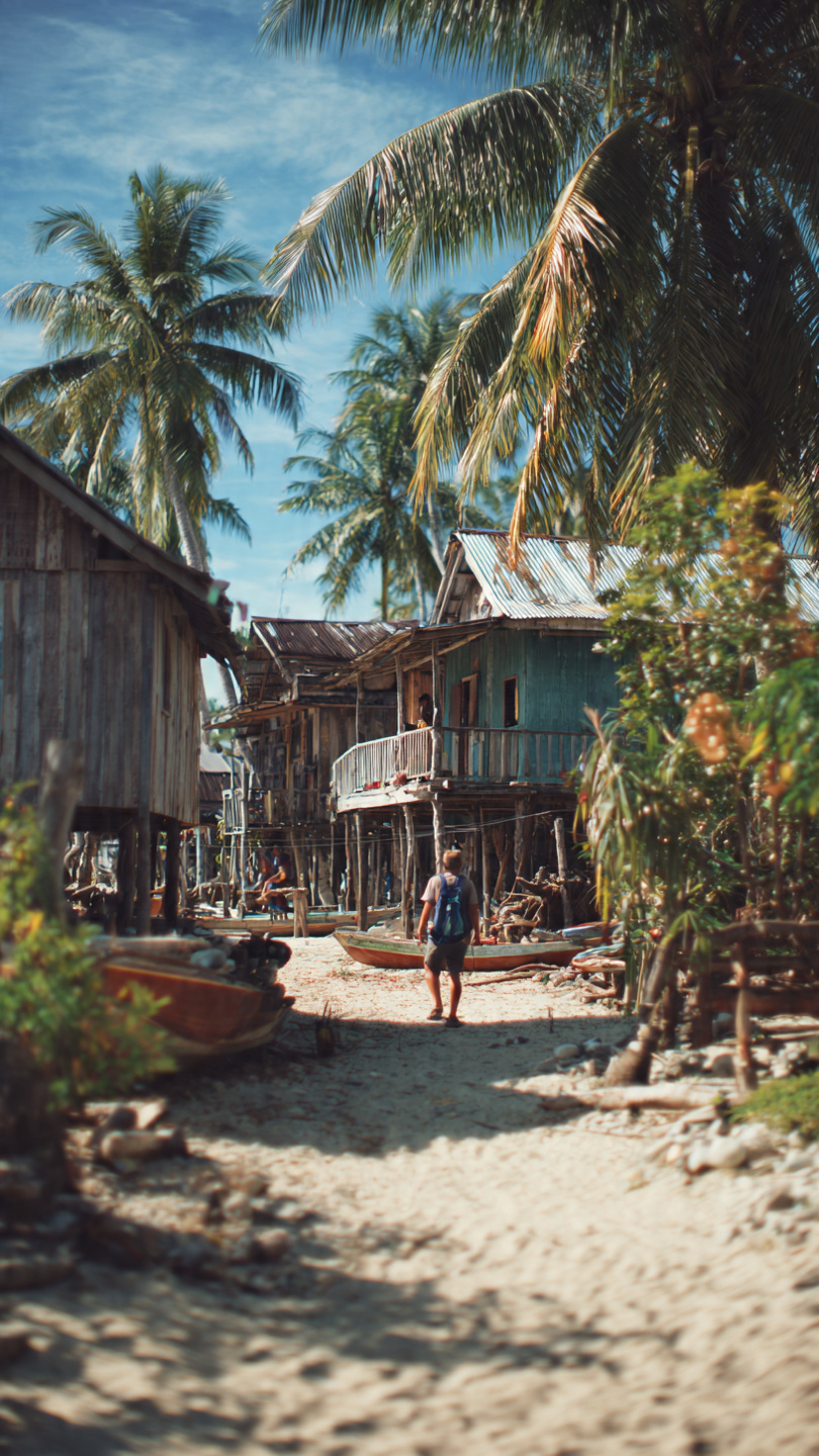 Papua – Cenderawasih Körfezi Whale Shark Turu - Görsel 9