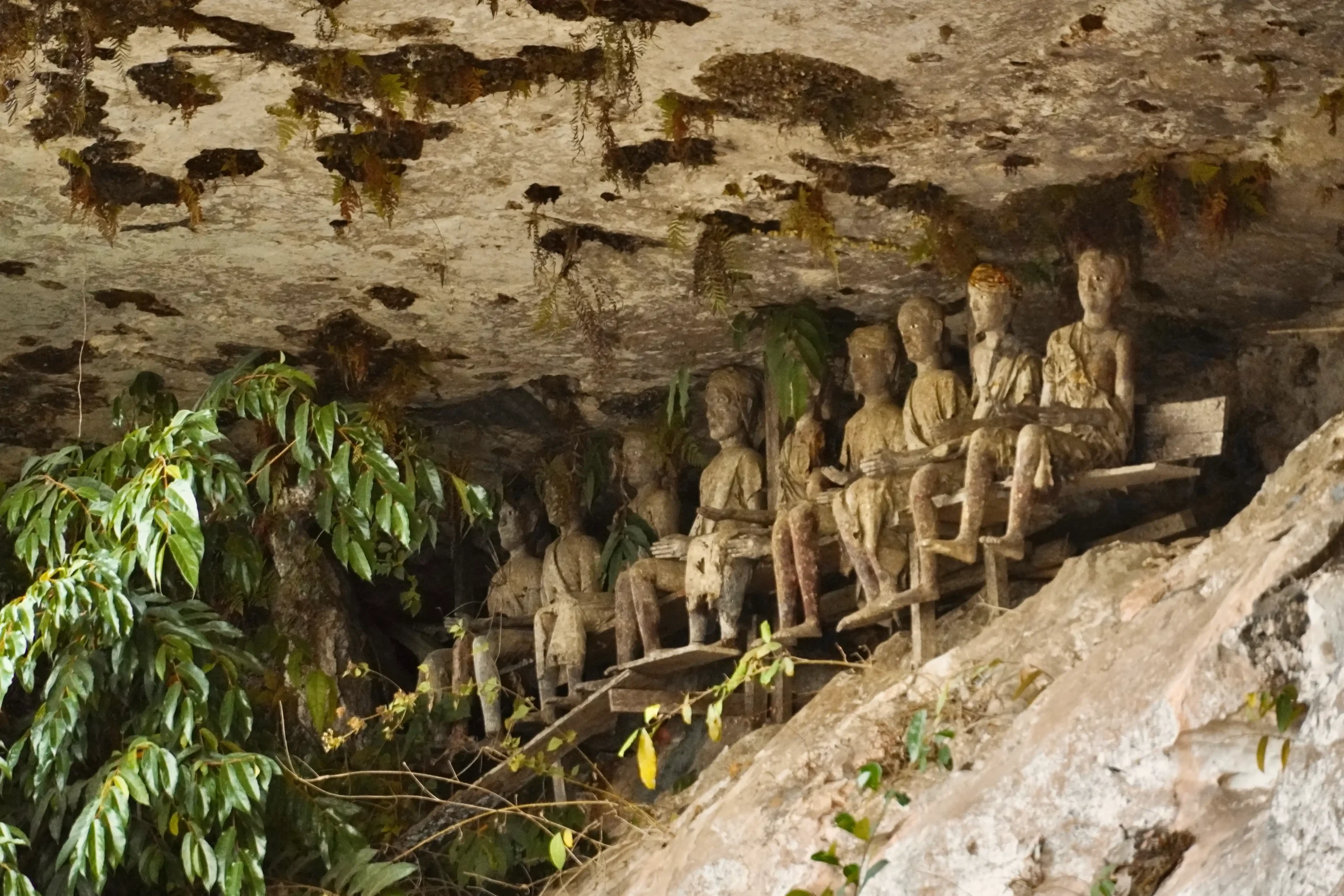 Sulawesi – All in One Turu - Görsel 4