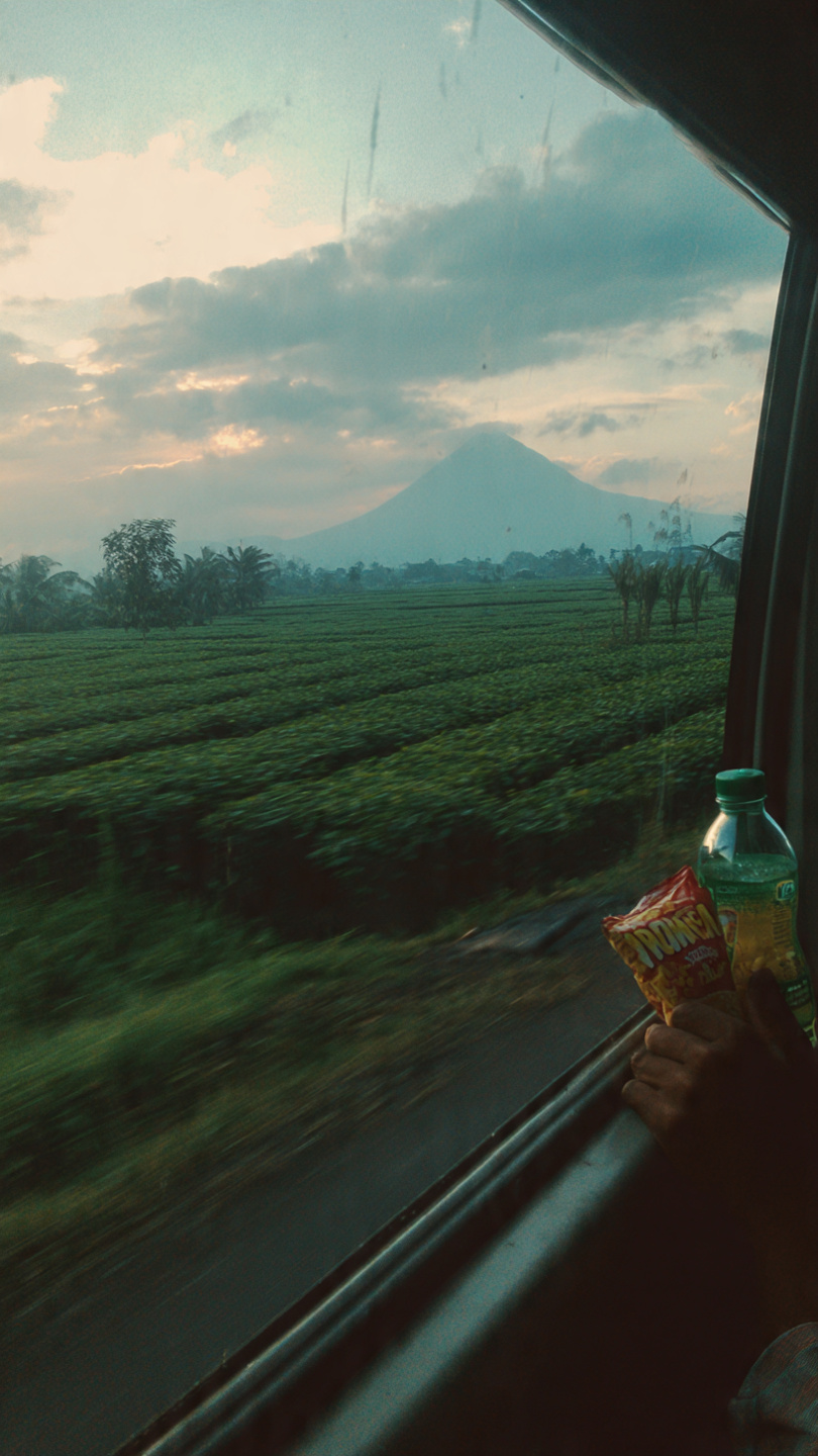 Sumatra - Kerinci & Vahşi Doğa Turu - Görsel 9